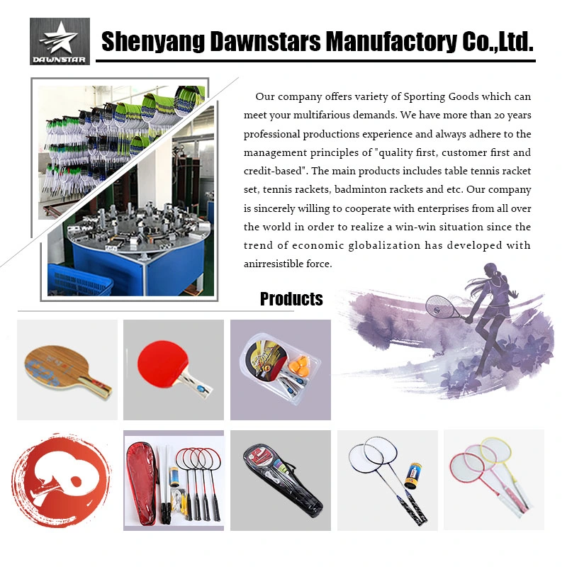 2022 Cheap and Durable Iron Badminton Racket Badminton Set